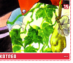 ruteekatrea15