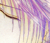 sacredbond09