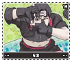 sai13