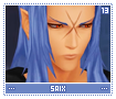 saix13