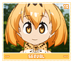 serval19