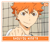 shouyouhinata04