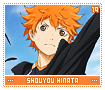 shouyouhinata19