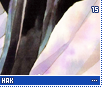 sonhak15