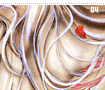 soulbond04