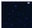 starrynight01