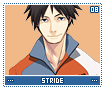 stride08