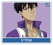 stride12