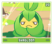 swadloon20
