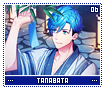 tanabata06