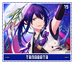 tanabata15