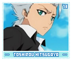 toshirouhitsugaya13