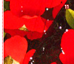 tsubaki11