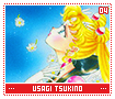usagitsukino04