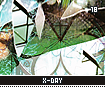 xday18