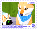 lkbcity05