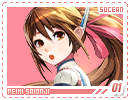 socean-reimi01