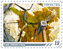 tinfected19